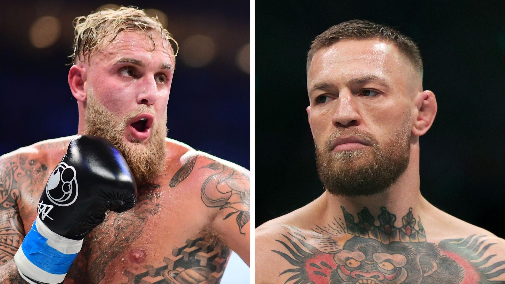 Jake Paul fordert Conor McGregor nach Sieg über Mike Tyson zu MMA-Kampf ohne Gewichtsklasse heraus